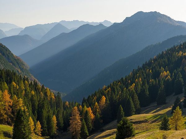 Val dAlgone Dolomiti di Brenta  Italy-Trentino
